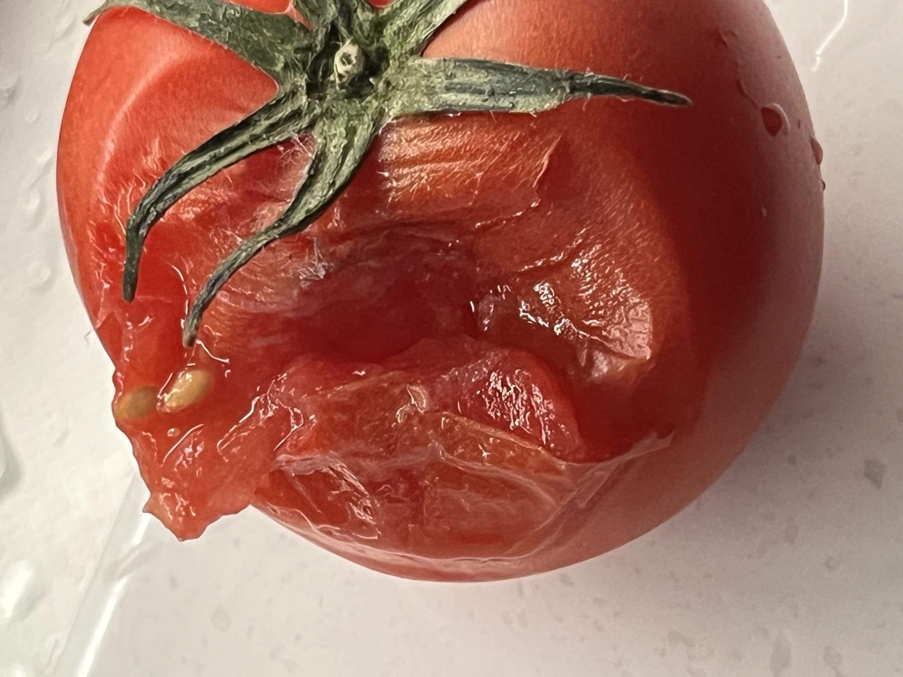 대추 방울토마토 완숙 토마토 찰 특품 쥬스용 제품 이미지