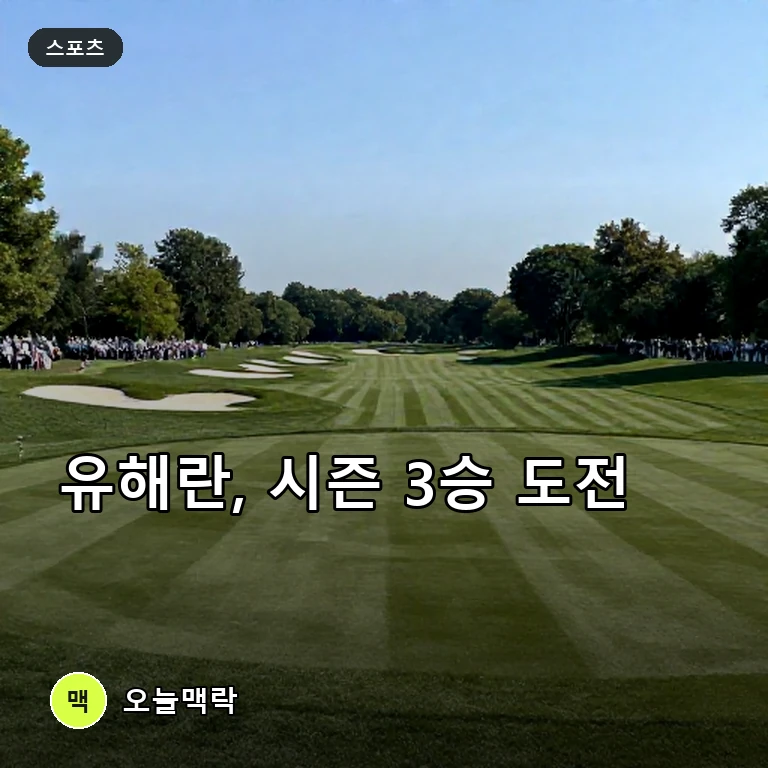 세계 3위 유해란, 포틀랜드 클래식서 시즌 3승 도전…코르다·윤이나 결장 주제를 표현한 편집 이미지