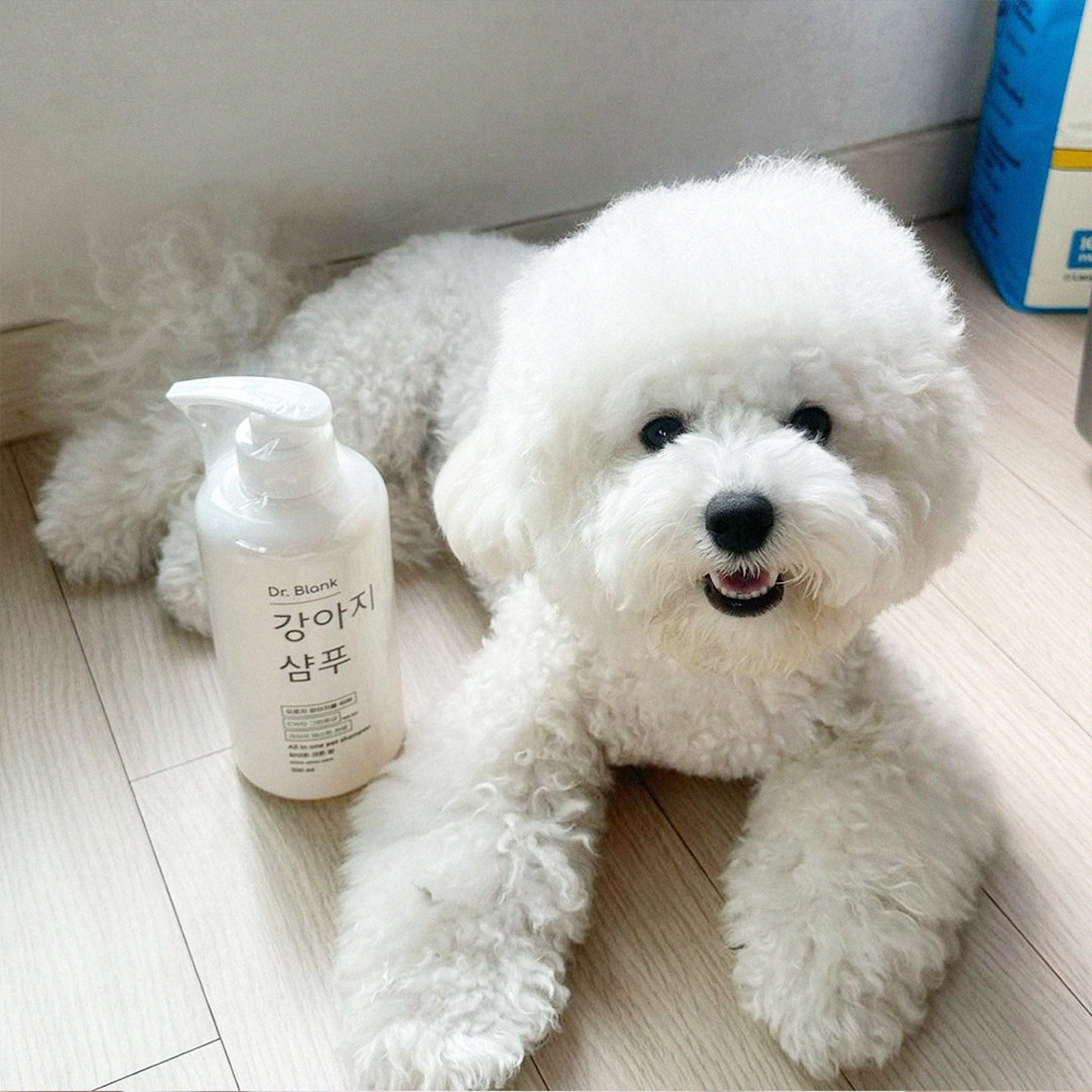 닥터블랭크 저자극 올인원 강아지 샴푸 새끼강아지 보습 목욕 베이비파우더, 500ml, 1개 제품 이미지