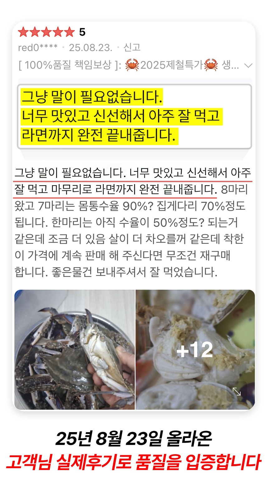 제철 꽃게 1kg 가을 봄 산지직송 숫꽃게 암꽃게 제품 이미지