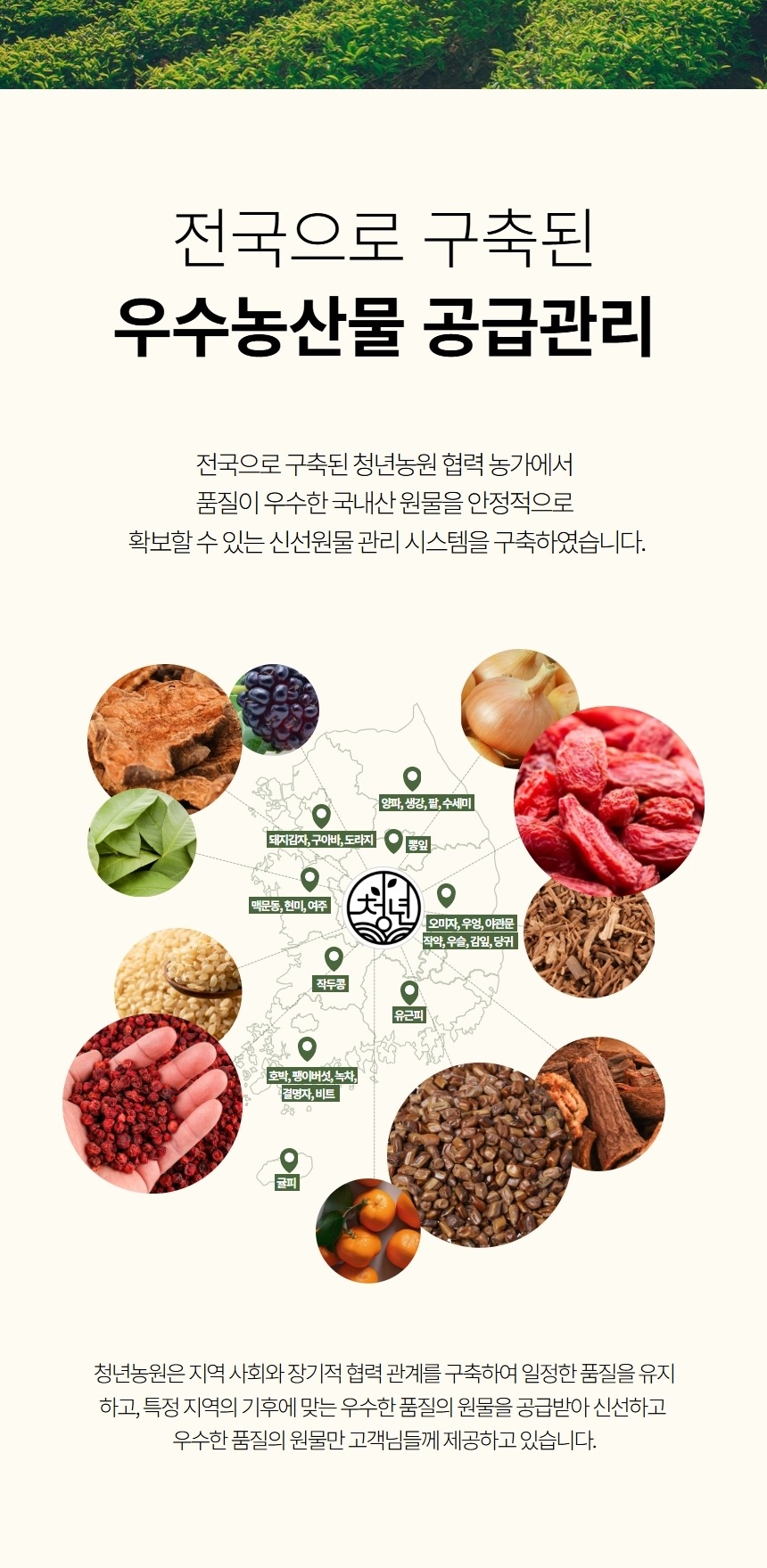호박팥차 물 붓기만 하면 땀 빠지는 빼는 카페인 없는 차 임산부 늙은 호박팥차 TEA효능 제품 이미지
