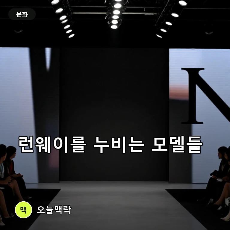 국내외 패션계 주목받는 무대, 화려한 런웨이 선보이는 모델들 주제를 표현한 편집 이미지