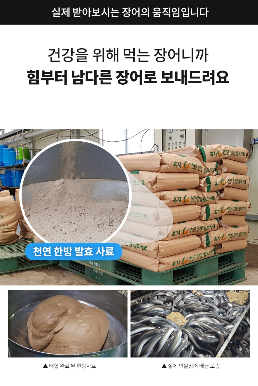 국내산 민물장어 선물세트 자포니카 장어 명절 설날 추석 선물 제품 이미지