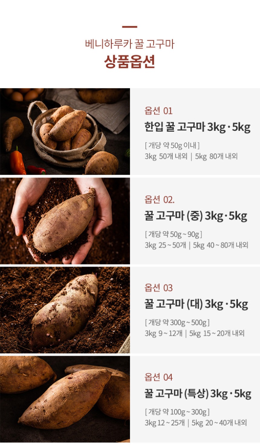 해남 고구마 꿀고구마 3kg 5kg 베니하루카 황금 호박고구마 제품 이미지