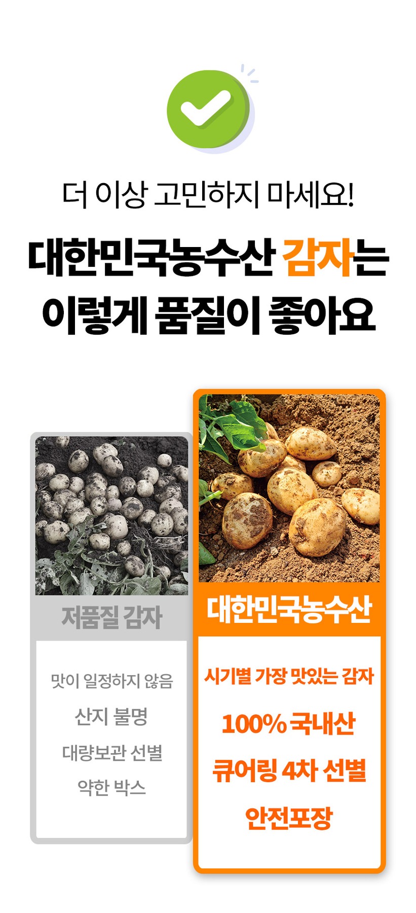 제철 햇 감자 수미 3kg 5kg 국내산 제품 이미지