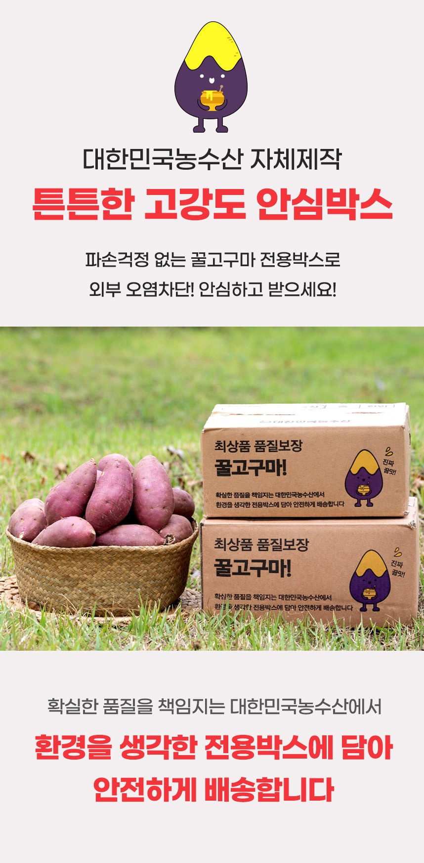 해남 고구마 꿀고구마 3kg 5kg 베니하루카 황금 호박고구마 제품 이미지