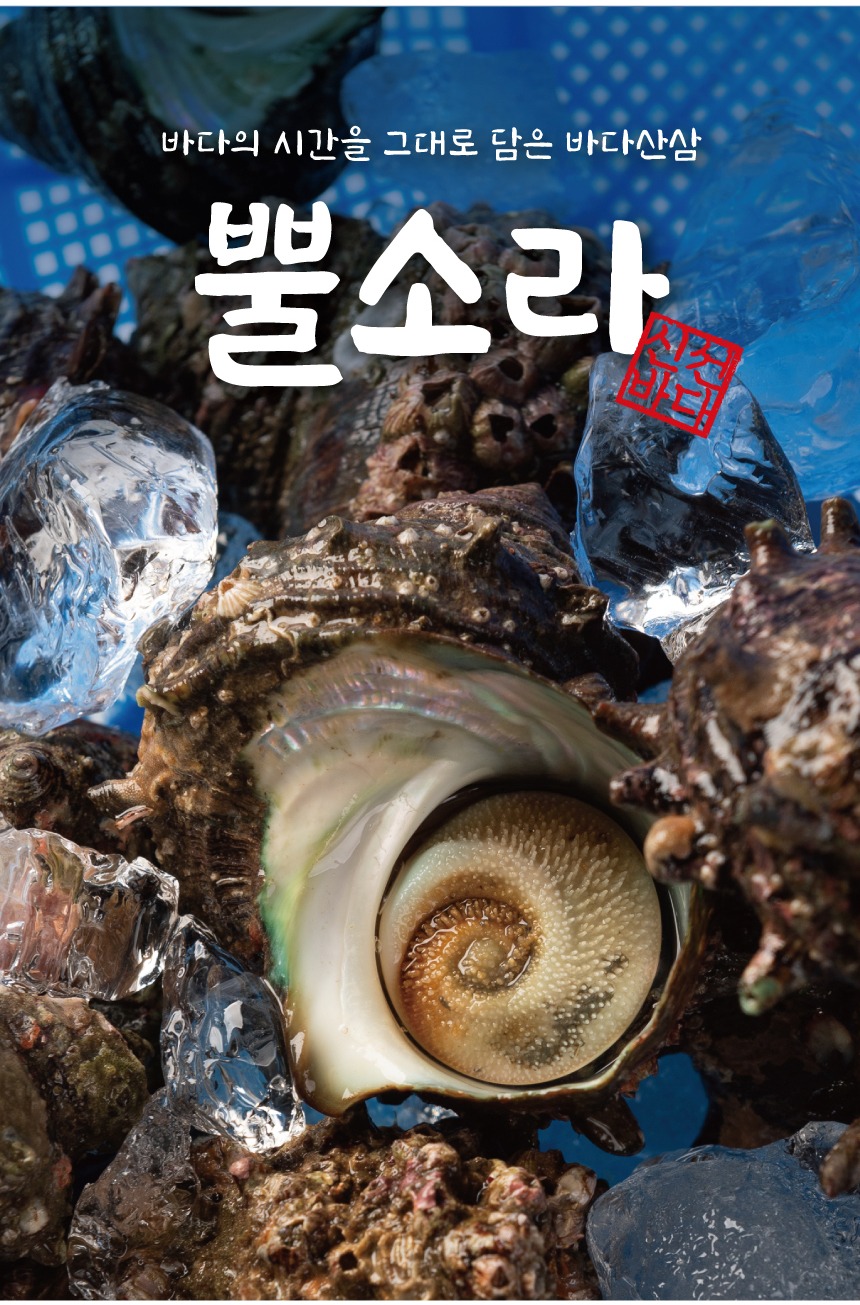 제철 뿔소라 1kg 자연산 소라 참소라 조개 제품 이미지