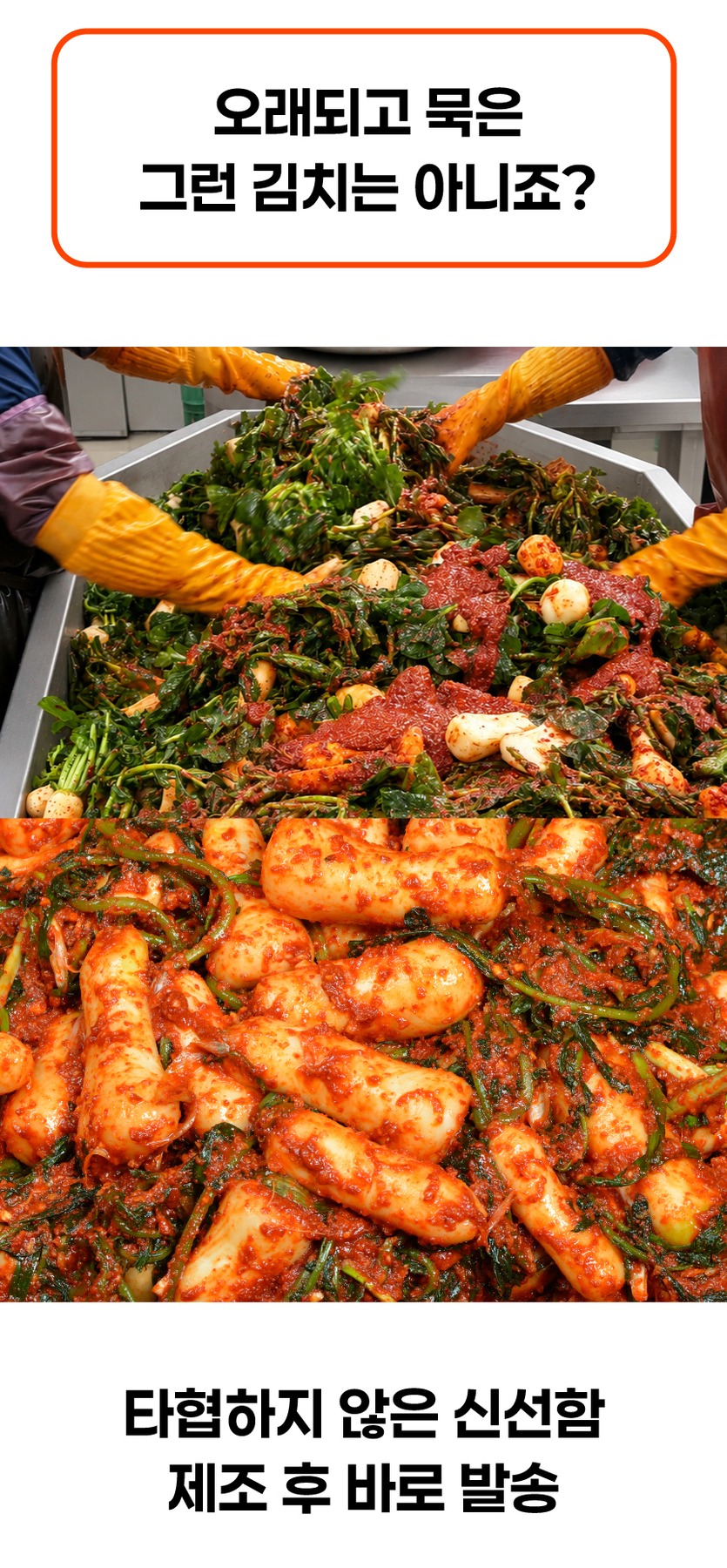 전라도 총각김치 알타리김치 김치 2kg 제품 이미지