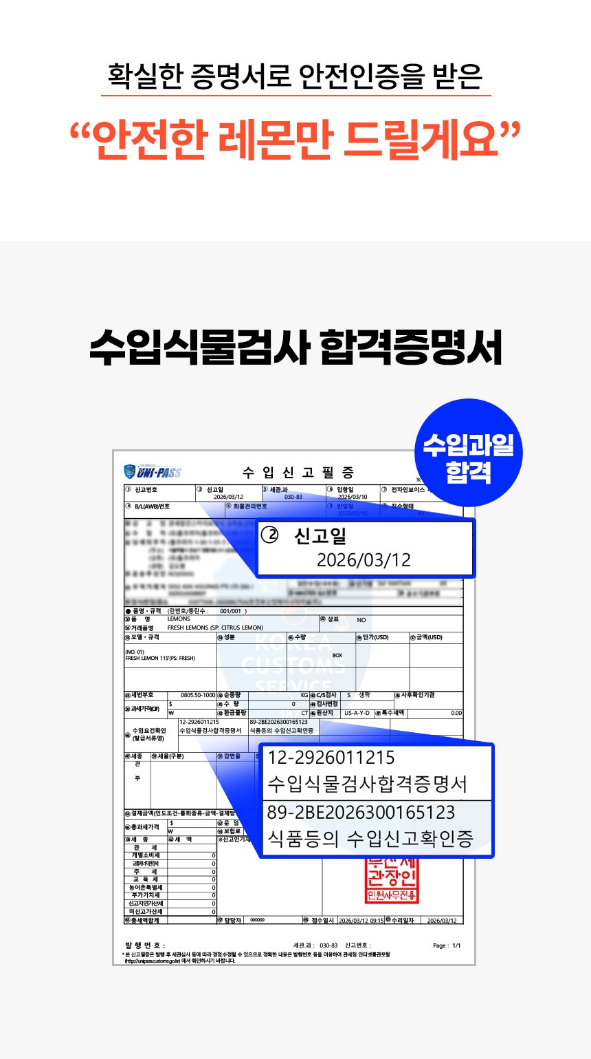 초신선 팬시 레몬 직수입 20과 생과 과일 제품 이미지