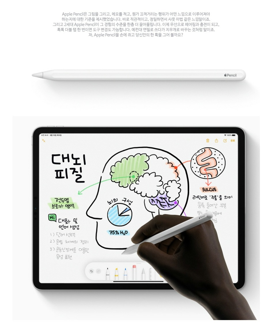 Apple Pencil 애플펜슬 2세대 제품 이미지