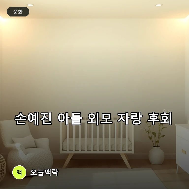 배우 손예진이 아들의 외모를 공개하며 극찬한 뒤 뒤늦은 후회와 속내를 드러내 눈길을 끌고 있다 주제를 표현한 편집 이미지