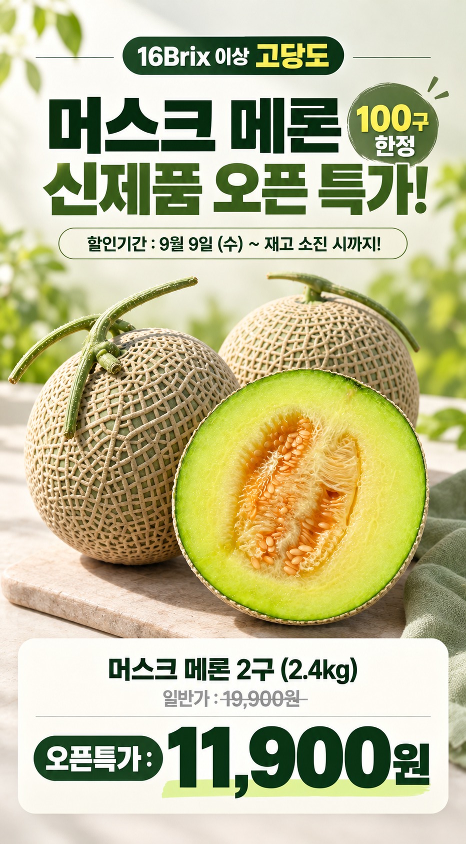 국내산 머스크 멜론 1수 고당도 제품 이미지