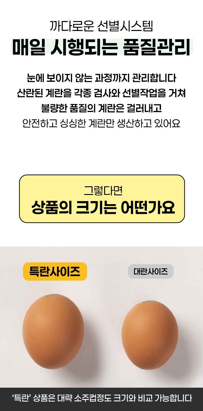 국내산 무항생제 계란 특란 30구 무정란 제품 이미지