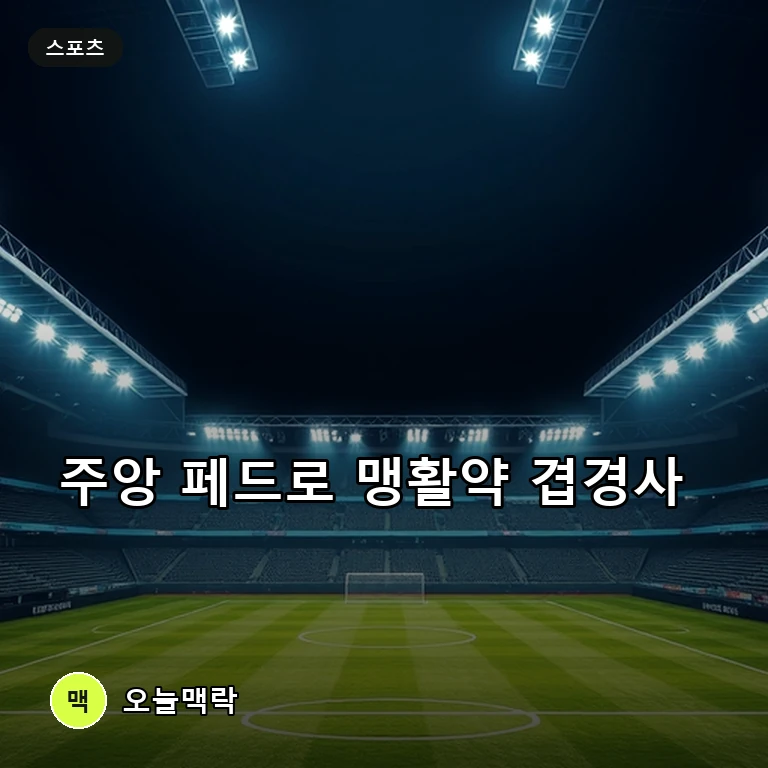 주앙 페드로 브라질 대표팀 승선 및 EPL 이달의 선수 싹쓸이 주제를 표현한 편집 이미지
