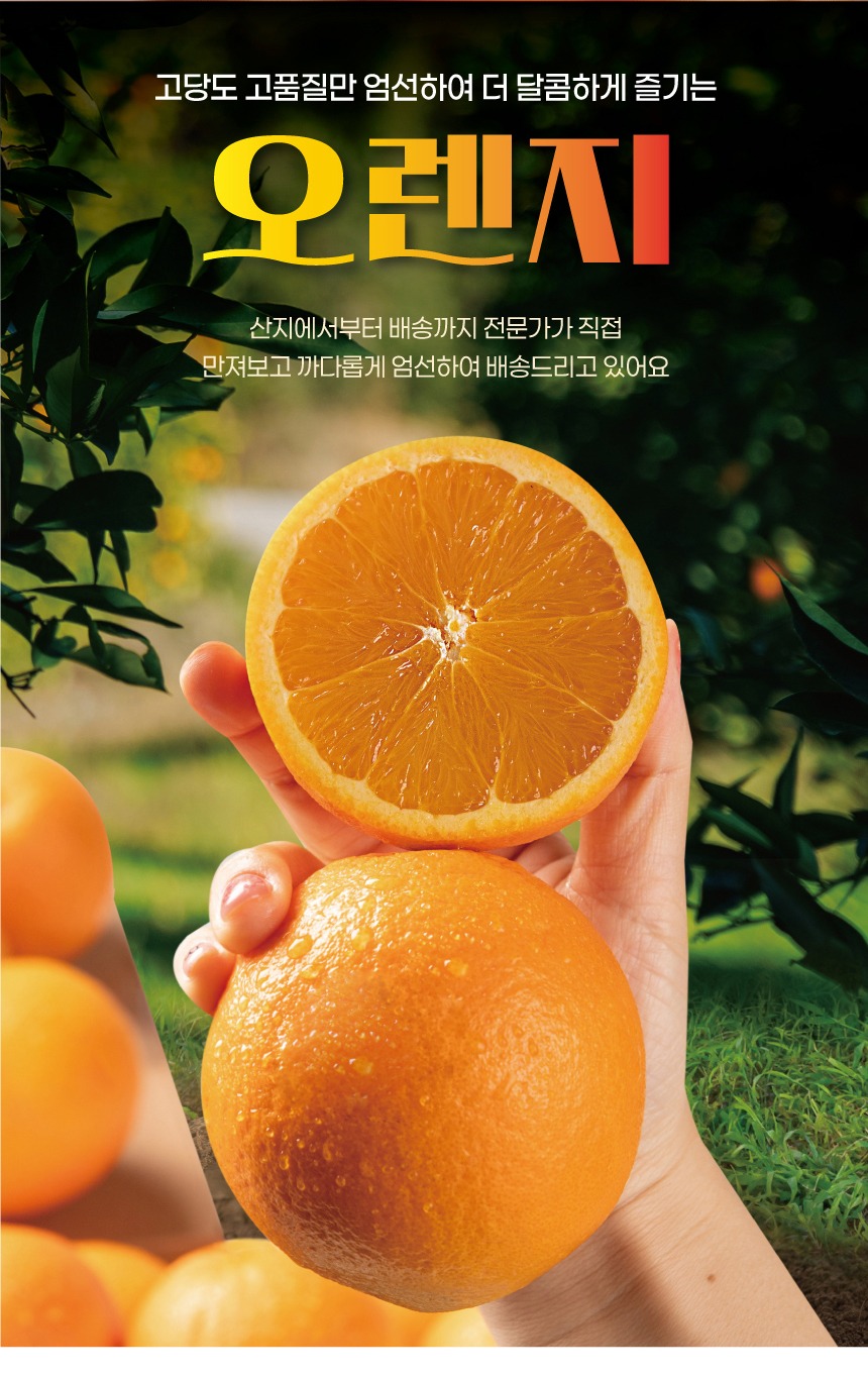 고당도 프리미엄 오렌지 제품 이미지