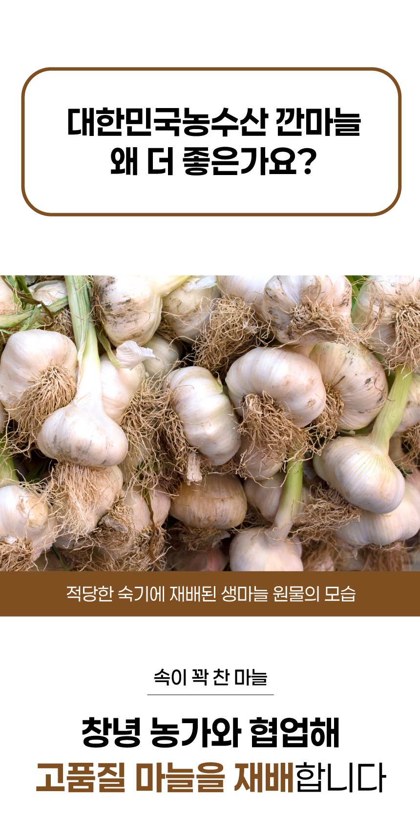 국내산 마늘 깐마늘 500g 제품 이미지
