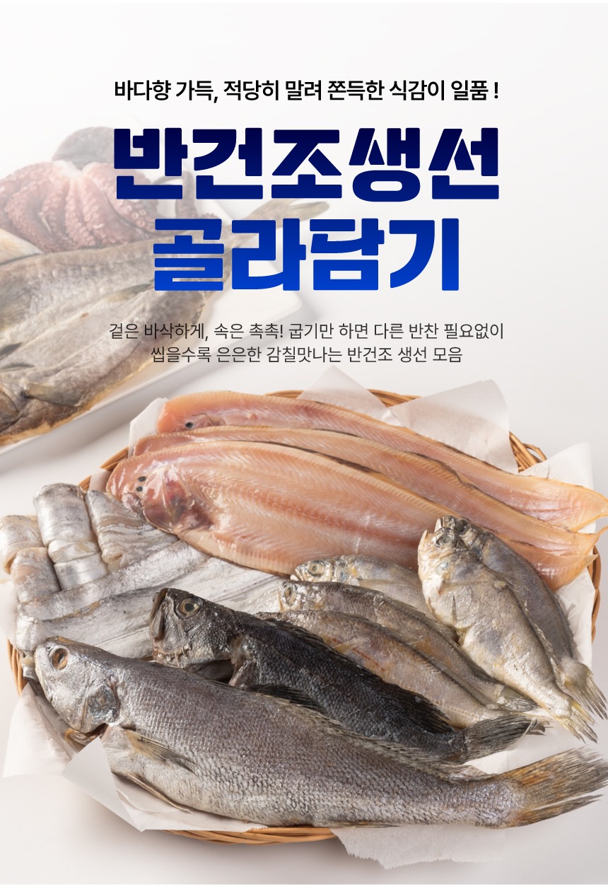 반건조생선 가자미 대구 우럭 굴비 고등어 임연수 박대 제수용 설 추석 명절 제품 이미지