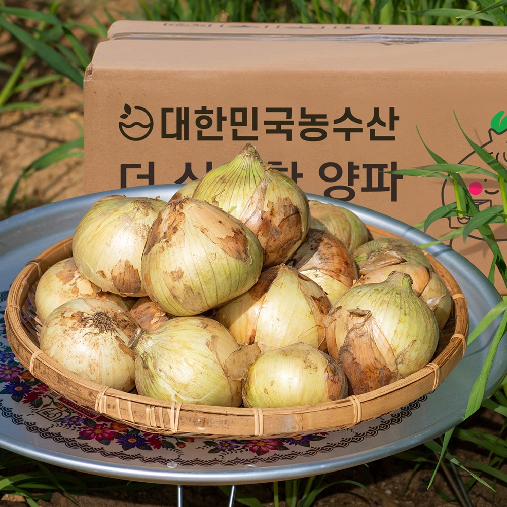 국내산 양파 3kg 5kg 제품 이미지