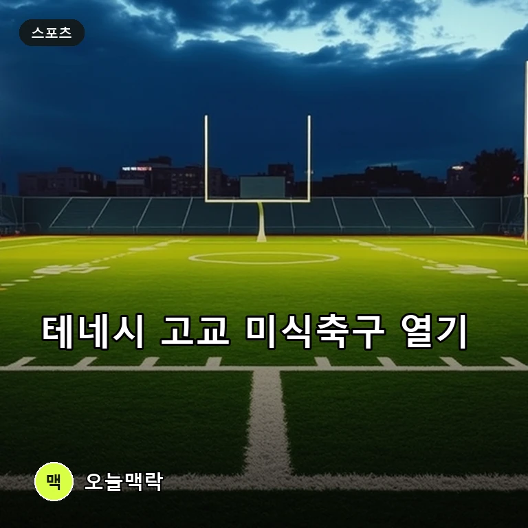 미국 테네시 주 고교 미식축구 열기 고조, 주요 경기 생중계 이어져 주제를 표현한 편집 이미지