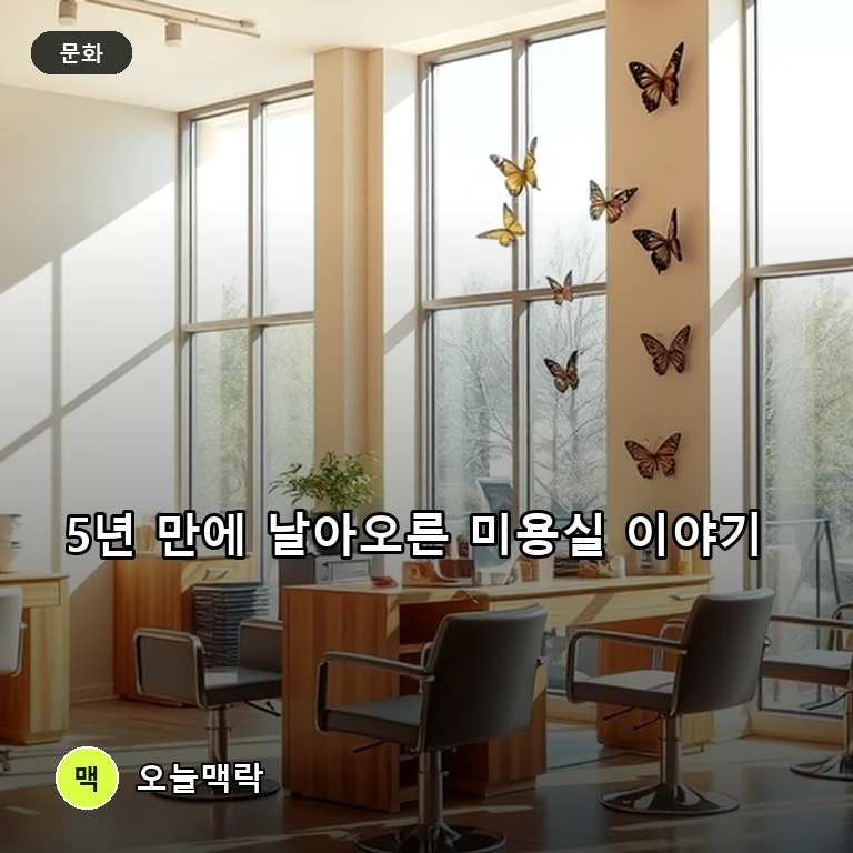 '날아올라라 나비' 5년 만에 첫 방송…김향기·최다니엘의 미용실 이야기 주제를 표현한 편집 이미지