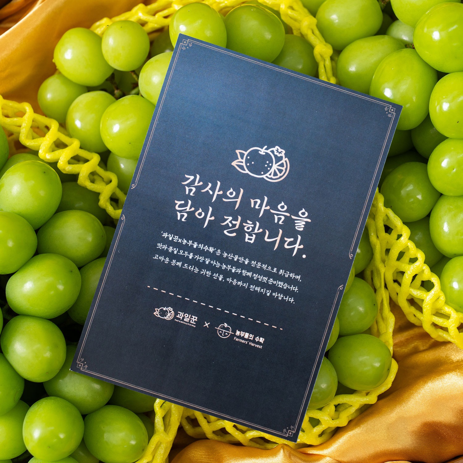 달가온 프리미엄 과일 혼합선물세트 배 사과 설날 추석 명절 제품 이미지