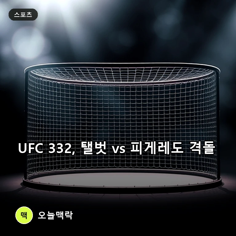 UFC 332 매치업 논란, 언더독으로 밀린 전 챔피언 피게레도의 반격 주제를 표현한 편집 이미지