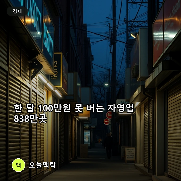 연소득 1200만원 이하 자영업 838만곳 4년새 43% 급증…매출 0원도 111만곳 주제를 표현한 편집 이미지