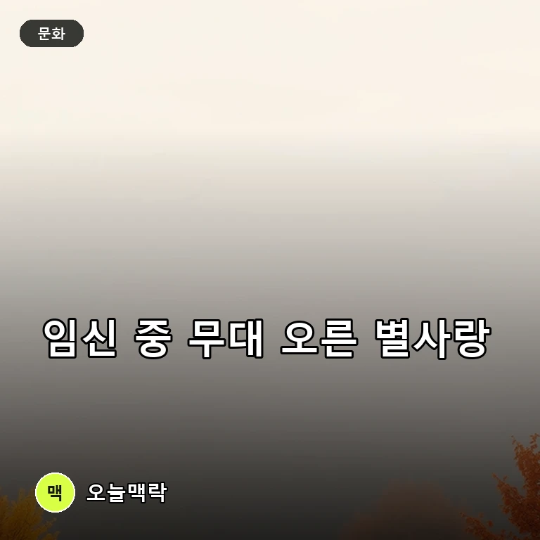 가수 별사랑, 임신 중 제주 ‘전국노래자랑’서 ‘놀아나 보세’ 열창 주제를 표현한 편집 이미지