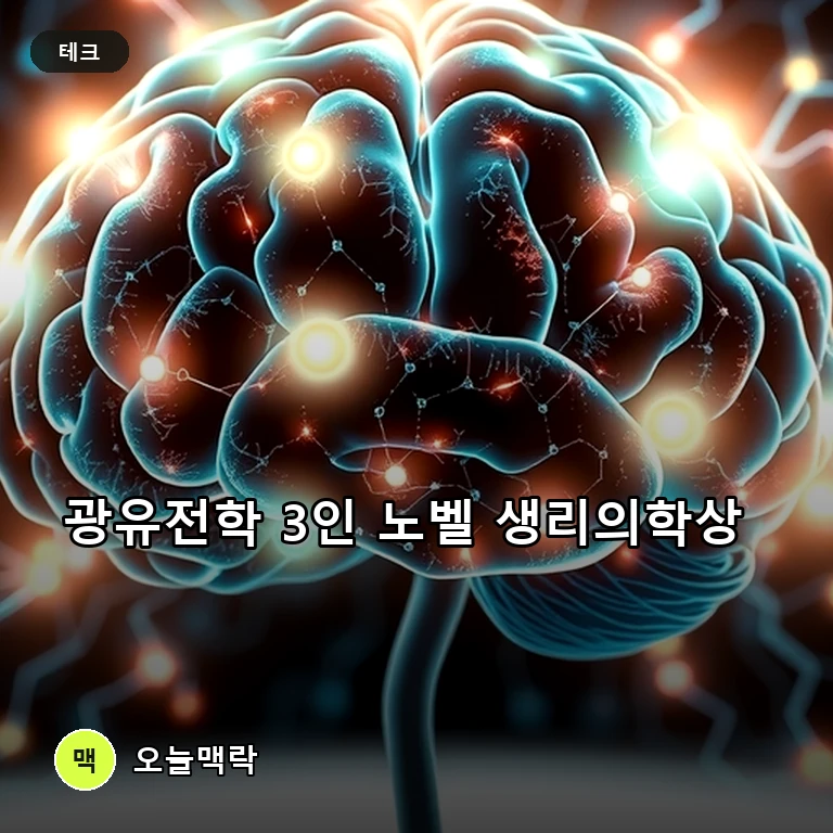 빛으로 뇌 신경세포 켜고 끈다… '광유전학' 개척자 3인 노벨 생리의학상 수상 주제를 표현한 편집 이미지